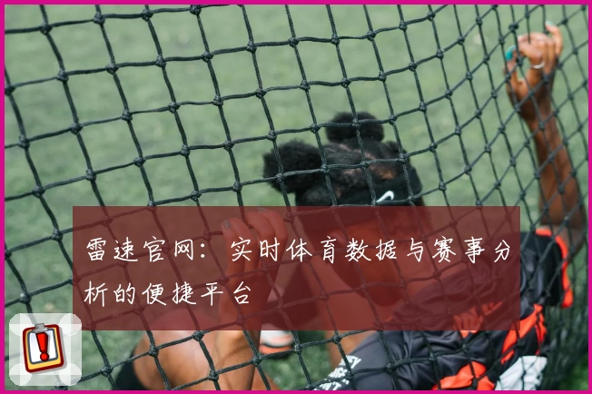 雷速官网：实时体育数据与赛事分析的便捷平台