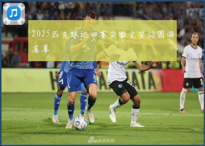 2025匹克球巡回赛安徽金安站圆满落幕