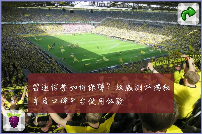 雷速信誉如何保障？权威测评揭秘年度口碑平台使用体验
