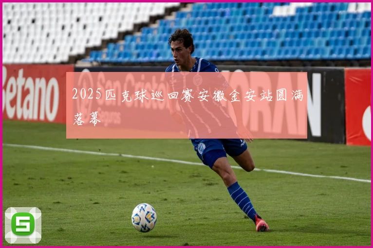 2025匹克球巡回赛安徽金安站圆满落幕